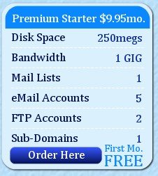 Premium Starter Website Hosting Package